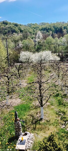 Proprietate superba: Vedere panoramica si livada pe rod