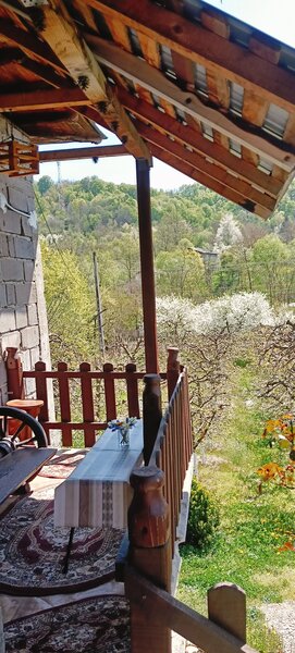 Proprietate superba: Vedere panoramica si livada pe rod