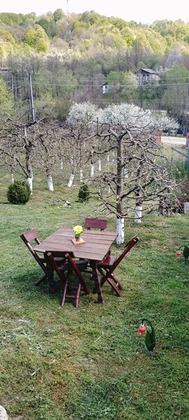 Proprietate superba: Vedere panoramica si livada pe rod