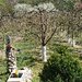 Proprietate superba: Vedere panoramica si livada pe rod